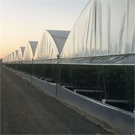 FILM PE ADDITIVATO 0,18 MT. 2 X 220  BOBINA